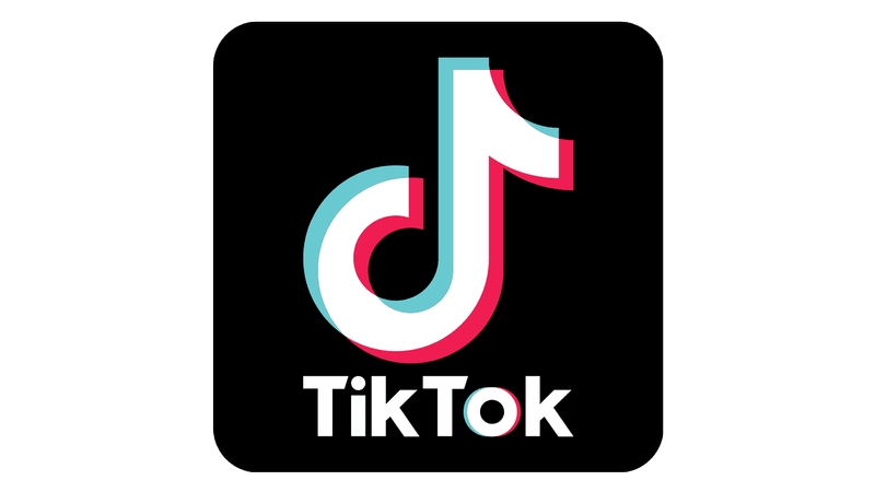 TikTok始めました。